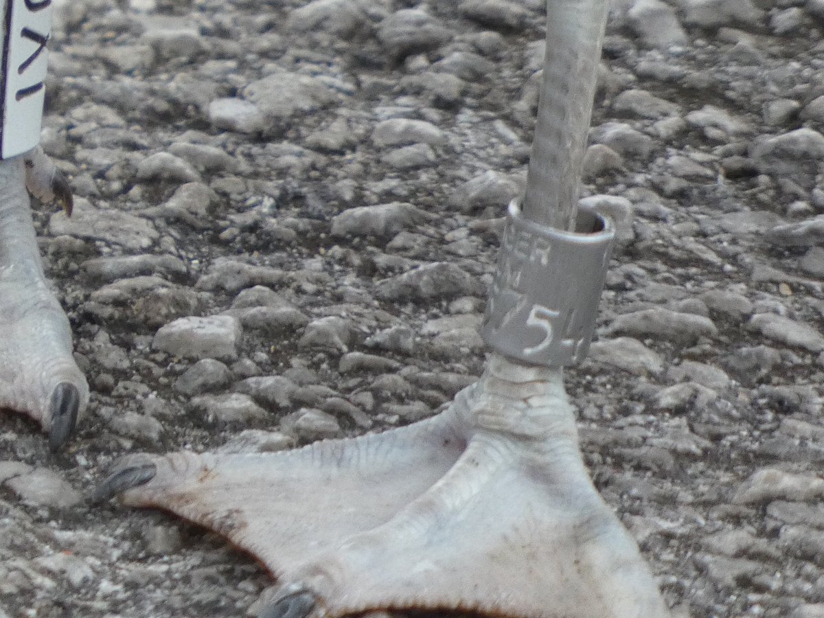 allthingsmothy tweet media