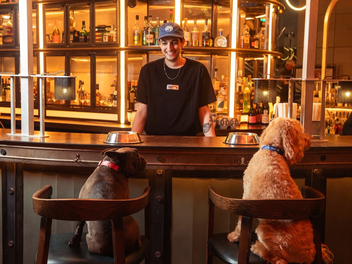 Control Room B tweet media