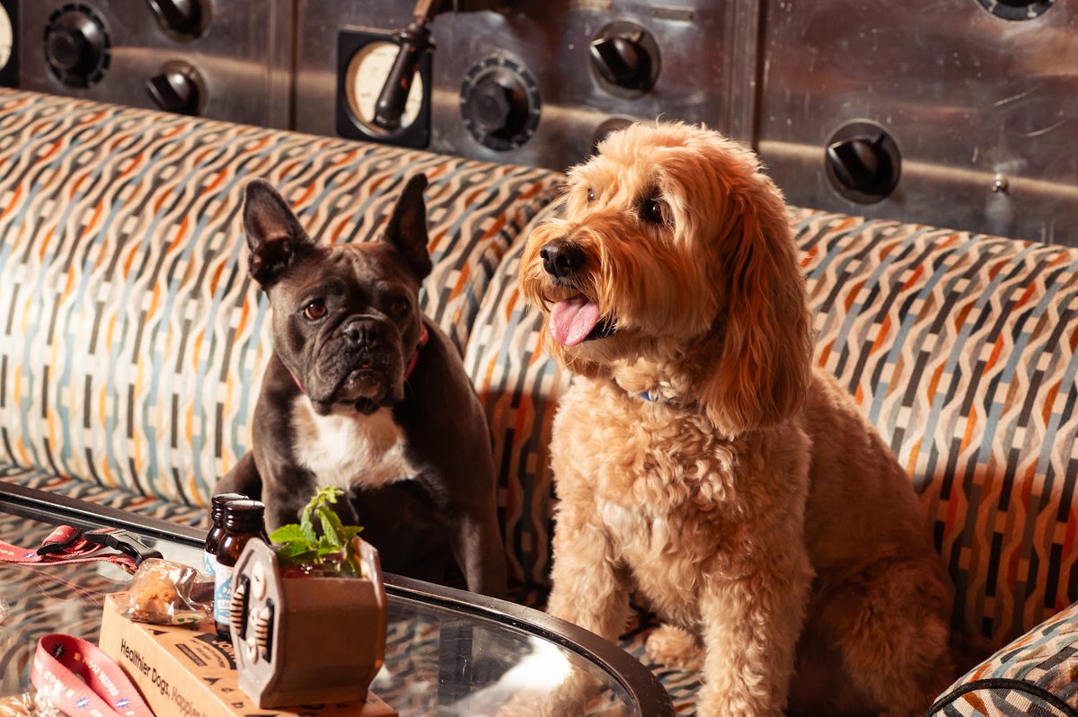 Control Room B tweet media