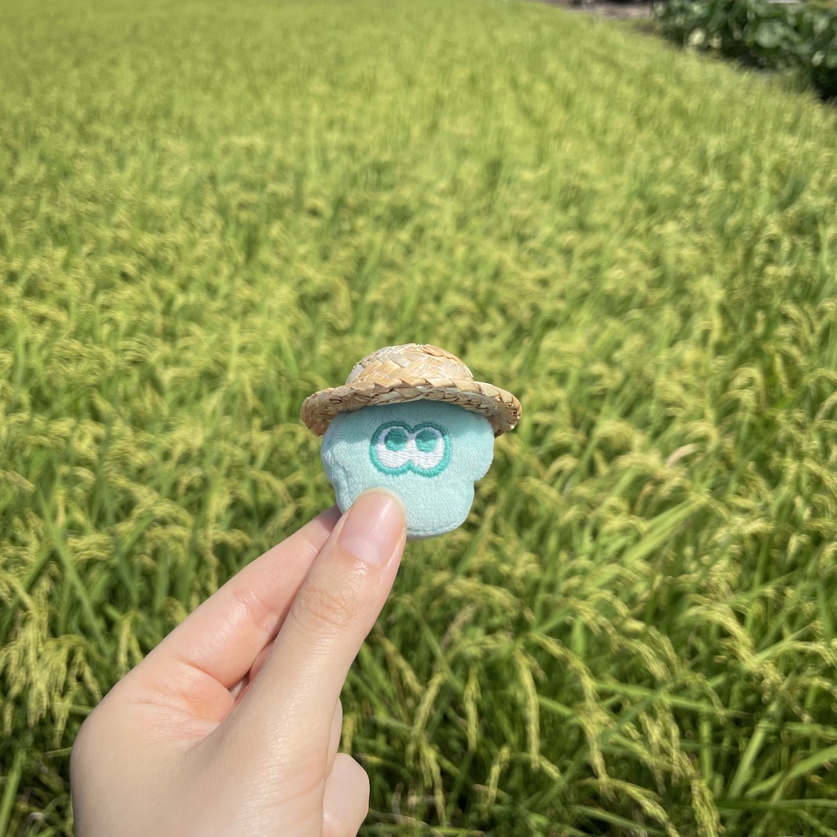 GYO_OYC's tweet photo. 私のtiny &amp; cute chibi イカ見てくれてありがとう またどこかで思い出したら見に来てね https://t.co/tkhV3dTMIU
