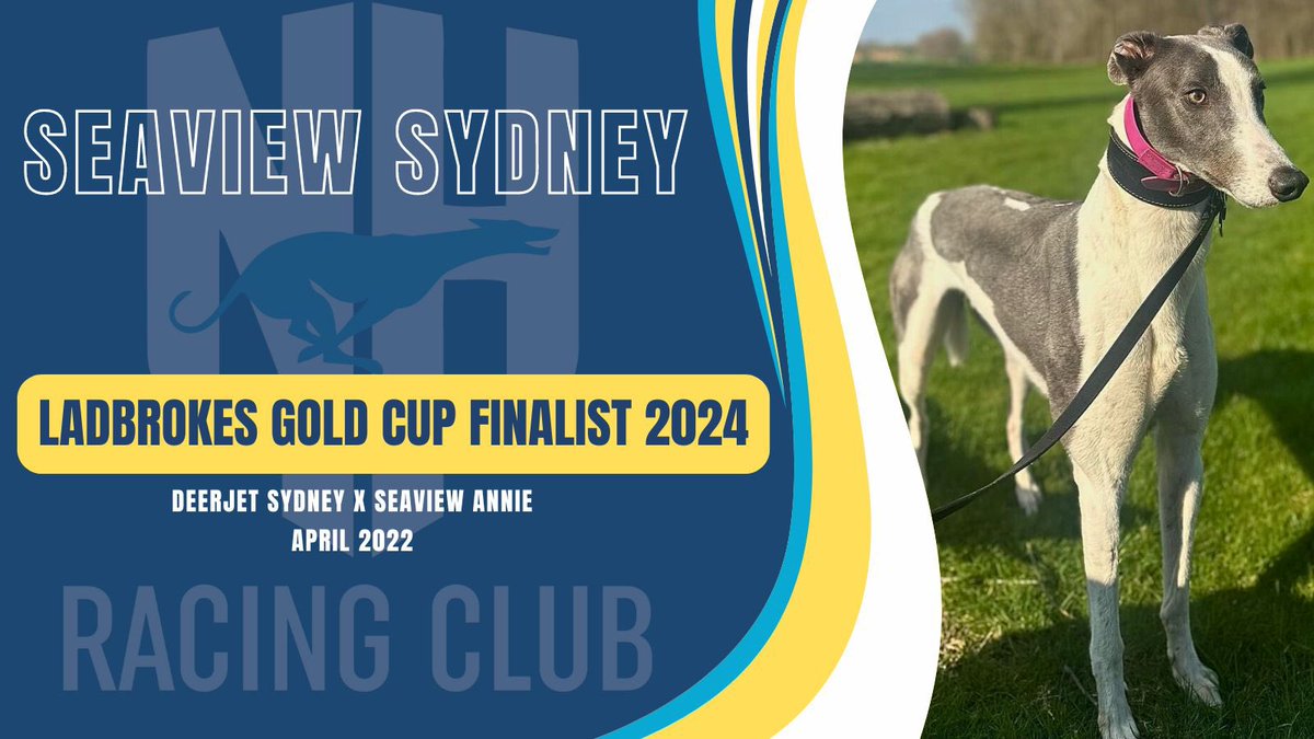NHunt67's tweet photo. 🏆 Ladbrokes Gold Cup Finalist 2024
Trap 4️⃣
⏰ 8:47PM
📍@Monmoredogs 
📆Saturday 24th August 

🌊 Seaview Sydney ⤵️

1️⃣6️⃣ runs
5️⃣wins 
3️⃣1️⃣% SR

Best of luck to all connections 🤞🏼❤️ https://t.co/noIPO36umT