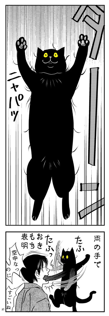 うちの猫は様子がおかしい。まとめ(2/10) 