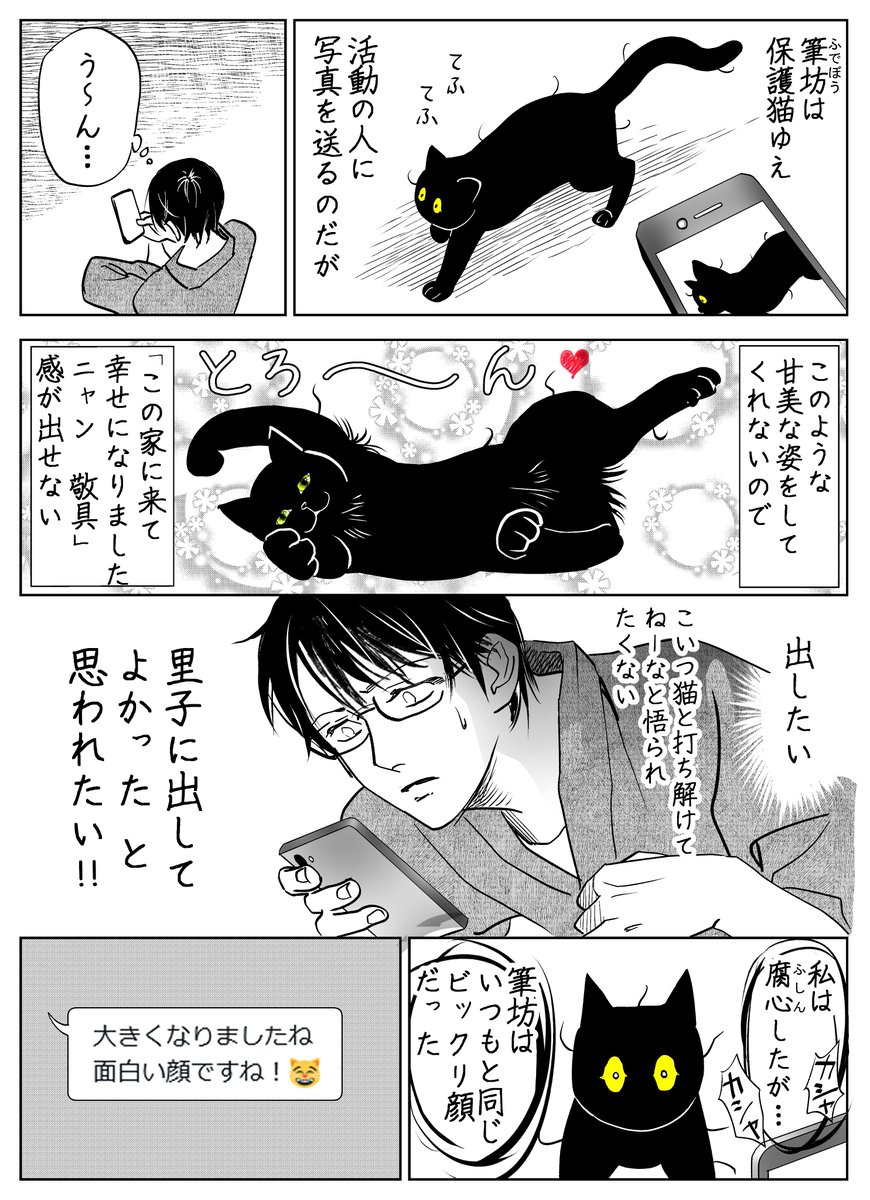 うちの猫は様子がおかしい。まとめ(9/10) 