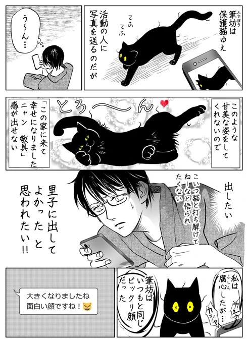 うちの猫は様子がおかしい。まとめ(9/10) 