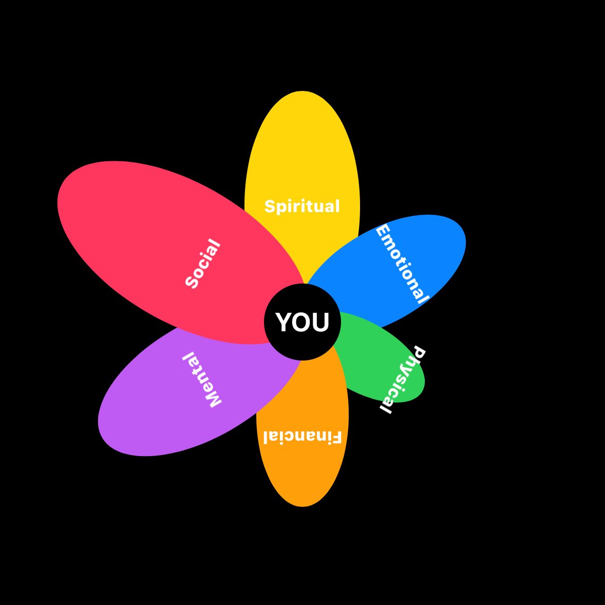 YgeeEsteban's tweet image. With Y-Pod (Life Goals App) launching in September,
 
You can set your own life categories with custom ratings and colors.  

Then view them in a vibrant flower chart. A fulfilled life means your petals are flourishing.  

#ypod #buildinpublic #shipaton