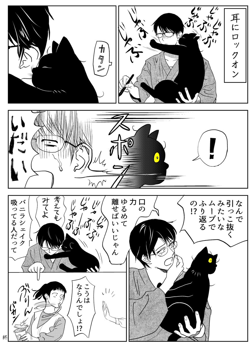 うちの猫は様子がおかしい。まとめ(5/10) 