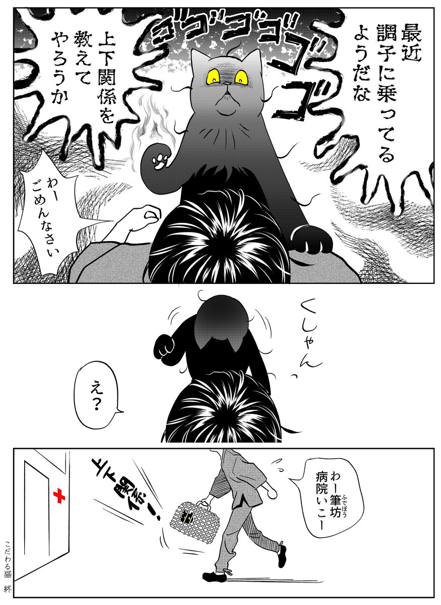 うちの猫は様子がおかしい。まとめ(8/10) 
