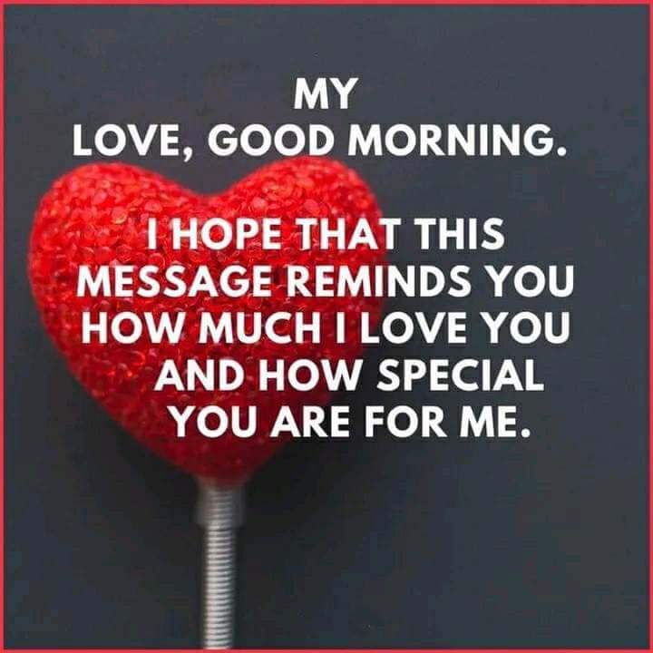 jams (@hossainjamire) on Twitter photo 