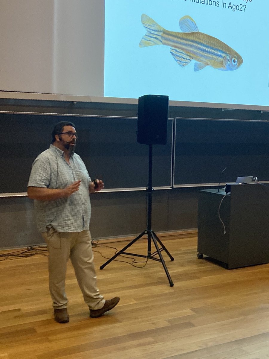 Victor Ambros and Daniel Cifuentes have made clear the importance of research in model organisms, like C.elegans 🪱 or zebrafish 🐟, to understand human disease 👏👏