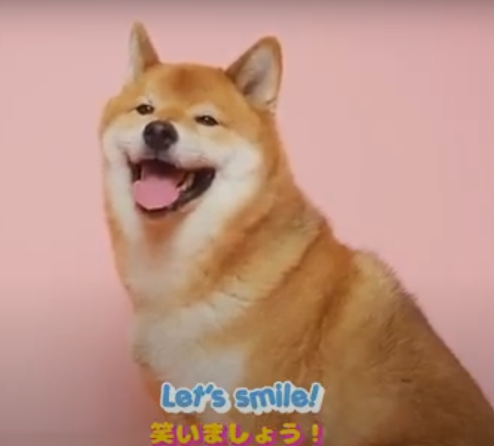 Im excited. Here is why...

Tofu Chan $TOBE on #TRON has the vibes. His messages of prosperity and motivation are heart felt. 

Join us: t.me/TofuChanTron
Buy a bag ca: 
TGLFfH2WQ1cokm2zfnAtHUdr7z1mRoWdVh
Follow <a href="/Tofuchantron/">Tobe</a> 
#TronMemeSeason #TRONMEME