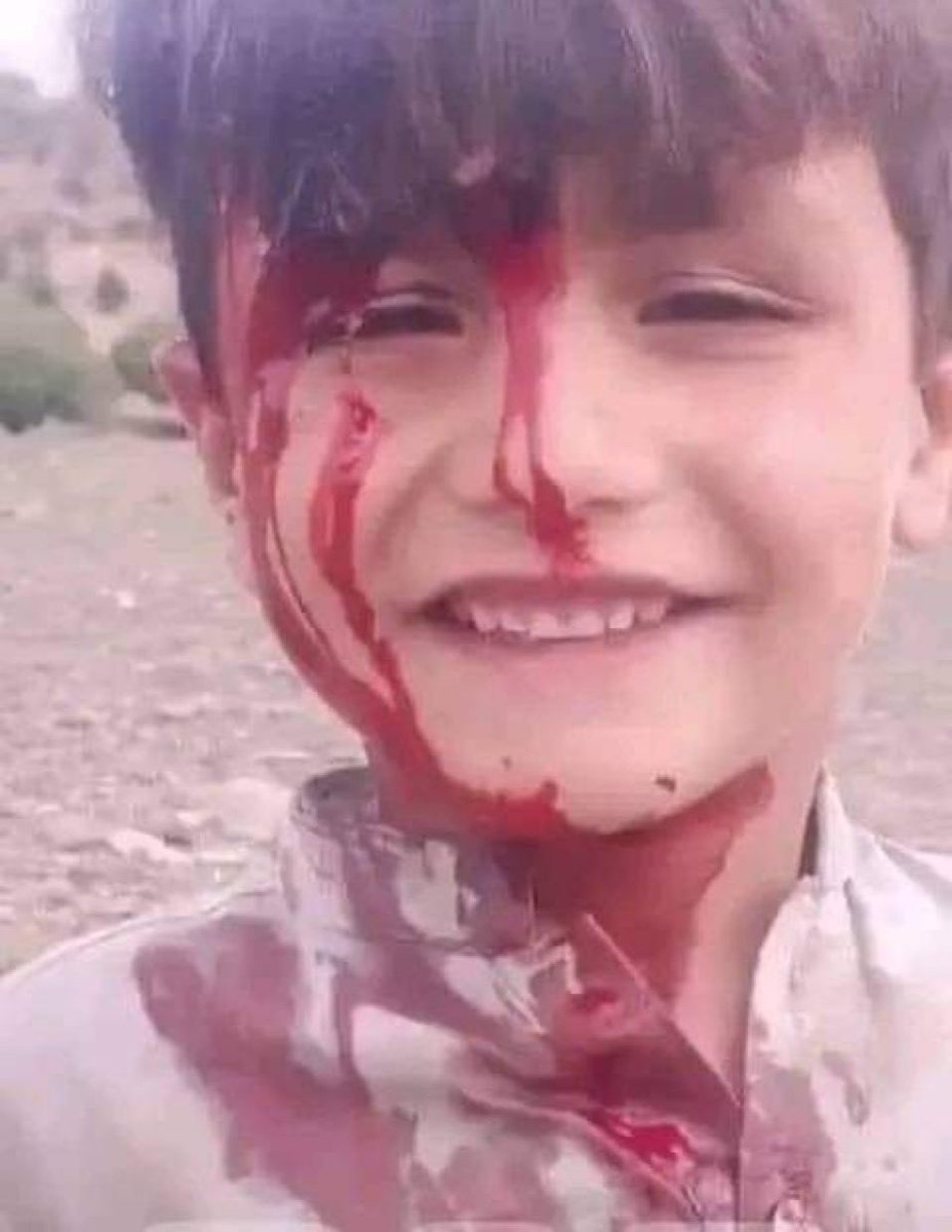 Aleema khan tweet media