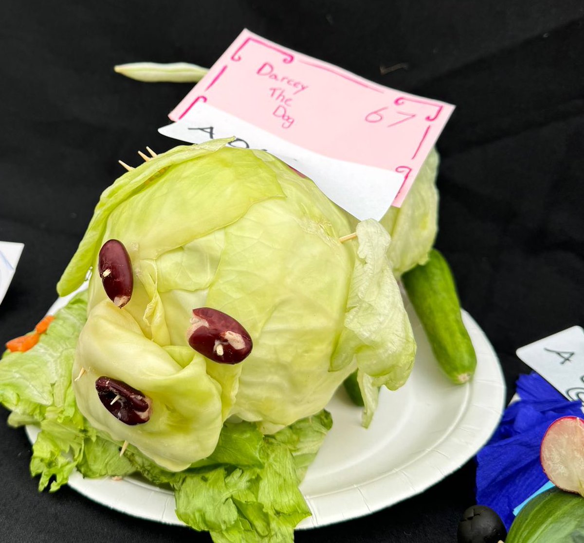 Dallas Primary tweet media