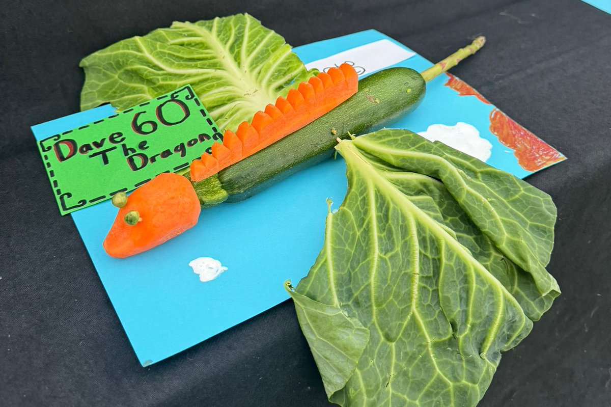 Dallas Primary tweet media