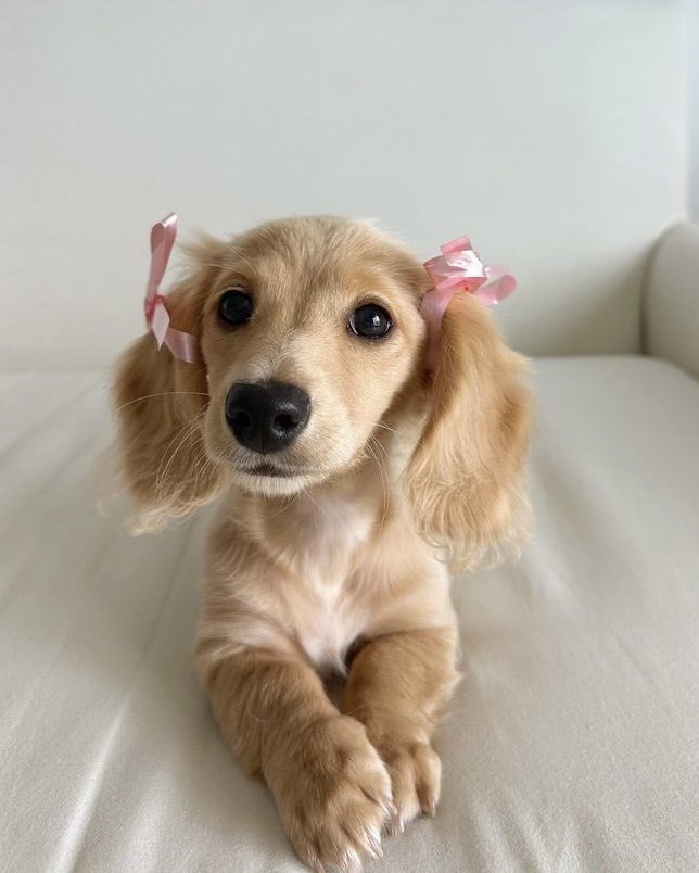 yawns ⟡ (@yawnsedits) on Twitter photo 