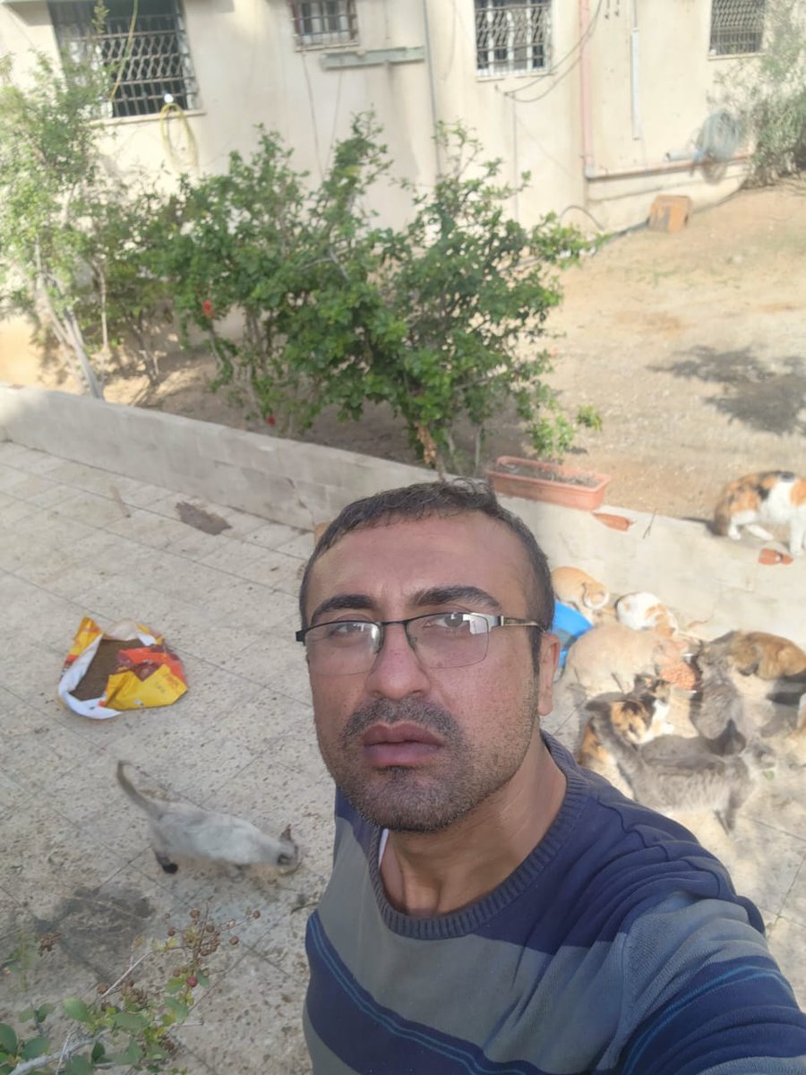 helpcatsmsallam's tweet photo. How painful it is to be sad and cry in the same place where you smiled so much... How painful it is for our lives to turn into mere memories..
Then we ask each other when will this deadly feeling end? When will we wake up from this nightmare?..
My dear friends, my dear ones.. I am Mo from Gaza.. from northern Gaza.. I am very grateful to everyone who asked about me.. Once again, I remind you that the Internet has been cut off in the North since the beginning of the war, and I rely on Esim to get the Internet. The signal is not good in all areas, so I go far from my house in order to catch a signal and get the Internet.. The area I always go to has become very dangerous and I can barely get there..So please accept my apology because I cannot respond to everyone... knowing that I always see your messages, and I am proud of you when I see your moral support..
My dear friends and loved ones.. The last time I bought cat food, I got it with great difficulty because supplies were running out from Gaza. All commercial crossings are closed and nothing is allowed to enter. Unfortunately, I had to buy from the black market..
I mix cat food with bread to make it last as long as possible because the food is not available in abundance and is expensive...
I tweeted 3 days ago about my need to buy them extra food to last them until the beginning of next year...
and I got about 30% of the goal..
My friends and dear ones.. I don't want to miss this opportunity because this is the last time I will be able to buy cat food at the shelter No one knows when this crazy war will end. I want to buy food for them as long as possible..
https://t.co/u0aZWrM2AS
I have 25 cats in the shelter. 
They are all rescue cats from before the war. 
I appreciate and am grateful to you for your love and support.
 Love you all guys