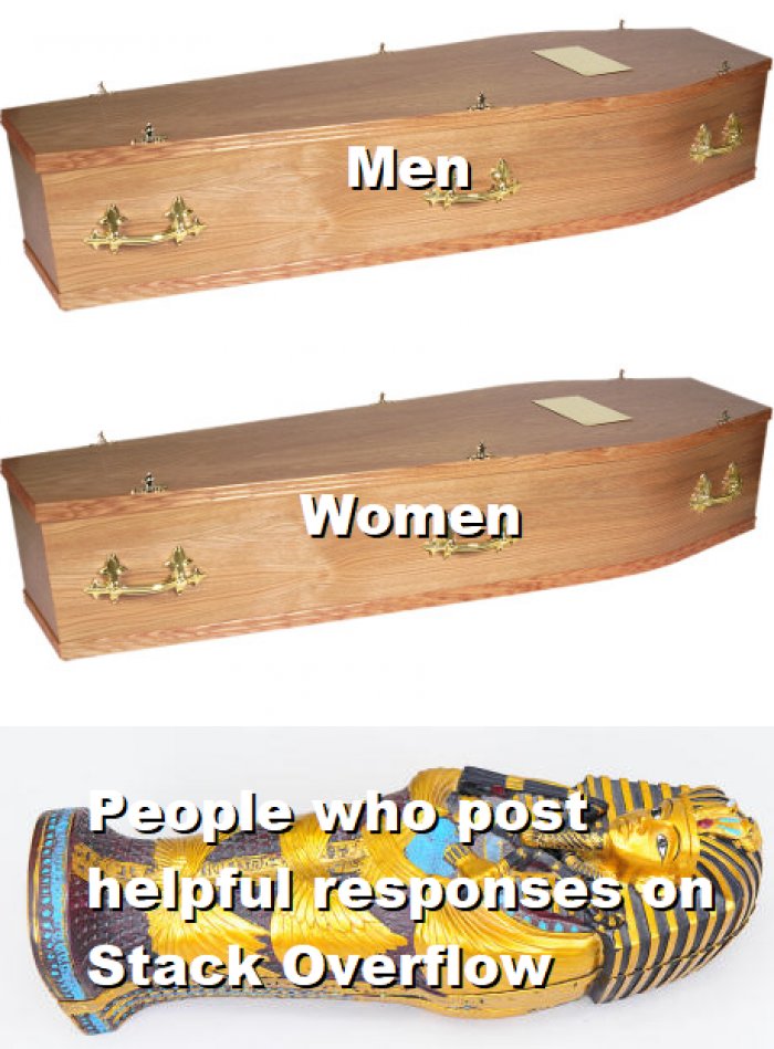 The true heroes 💪🏻😂