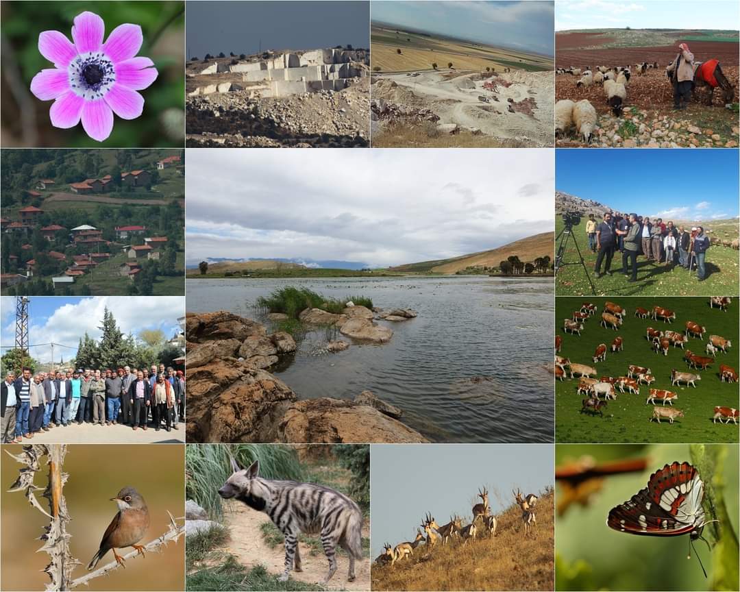 Abdullah ÖĞÜNÇ tweet media