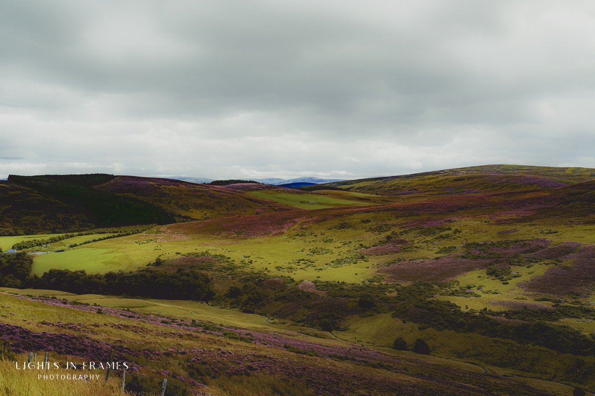 LightsInFrames's tweet photo. … A sense of…Scotland … I.V …

Scotland, UK 08/2024

#Scotland #Photography #World #Eart #Nature #Art #landscape #photographylovers https://t.co/L4F7bXq0AH
