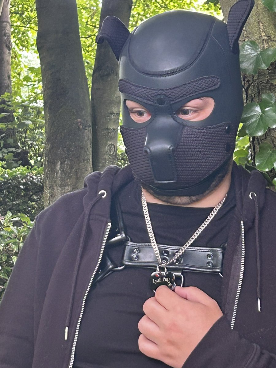 So immensely proud of this Puppy!! 

Todays marks 10 years free from DSA 

Well Done Puppy.. here’s to the next landmark celebration <a href="/LyallPup/">Lyall The Pup</a>