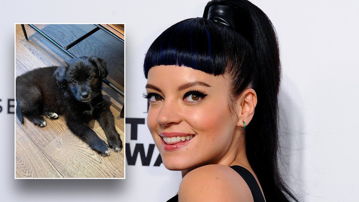 We Don’t Deserve Dogs

Lily Allen returned her puppy to the rescue centre because the “fucking dog had eaten the passports and I couldn’t look at ‘it’ because it ruined my life." 

You did the puppy a MASSIVE favour you
SELF-CENTRED BITCH!!!