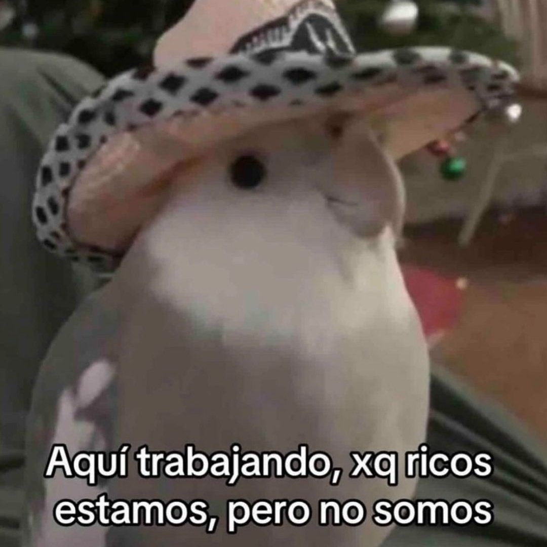 Frases Nocturnas (@frase3am) on Twitter photo 