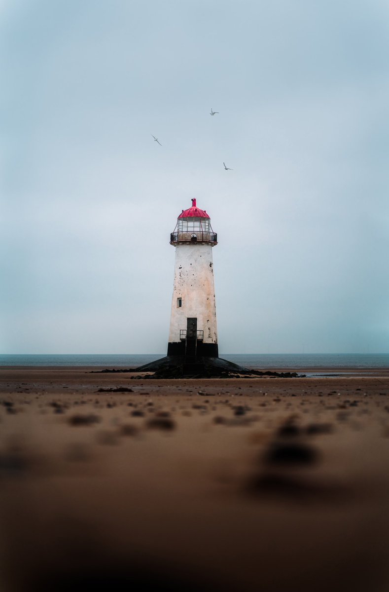 manfredteh's tweet image. Good morning photography lovers