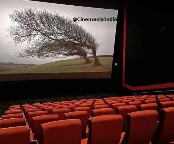 CinemaniaIndia's tweet photo. Upcoming horror-comedies after #Stree2 

- #BhoolBhulaiyaa3 ft. #KartikAaryan, #TriptiiDimri and #VidyaBalan (1 November)

- #TheRajaSaab ft. #Prabhas and #MalavikaMohanan (10 April)

- #TheVirginTree ft. #SanjayDutt, #MouniRoy and #PalakTiwari 

- #VampiresOfVijayNagat ft. #AyushmannKhurrana and #RashmikaMandanna 

- #Thama 

- #Stree3 ft. #RajkummarRao and #ShraddhaKapoor