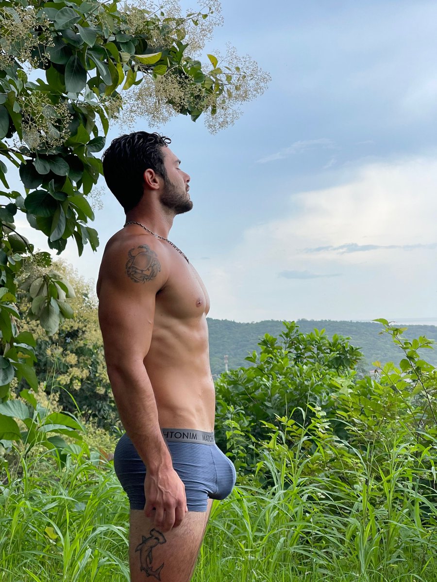 MasterApex tweet media