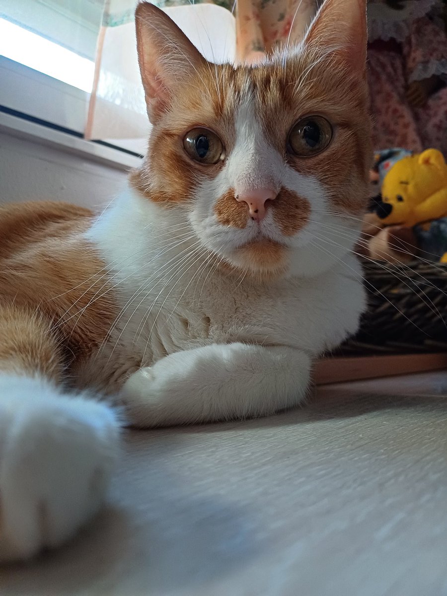 InmaValSanta's tweet photo. 🧡 https://t.co/0q6OqgGFwr