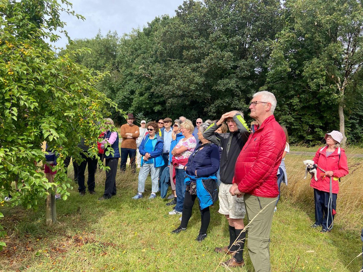 Cafe Chico tweet media