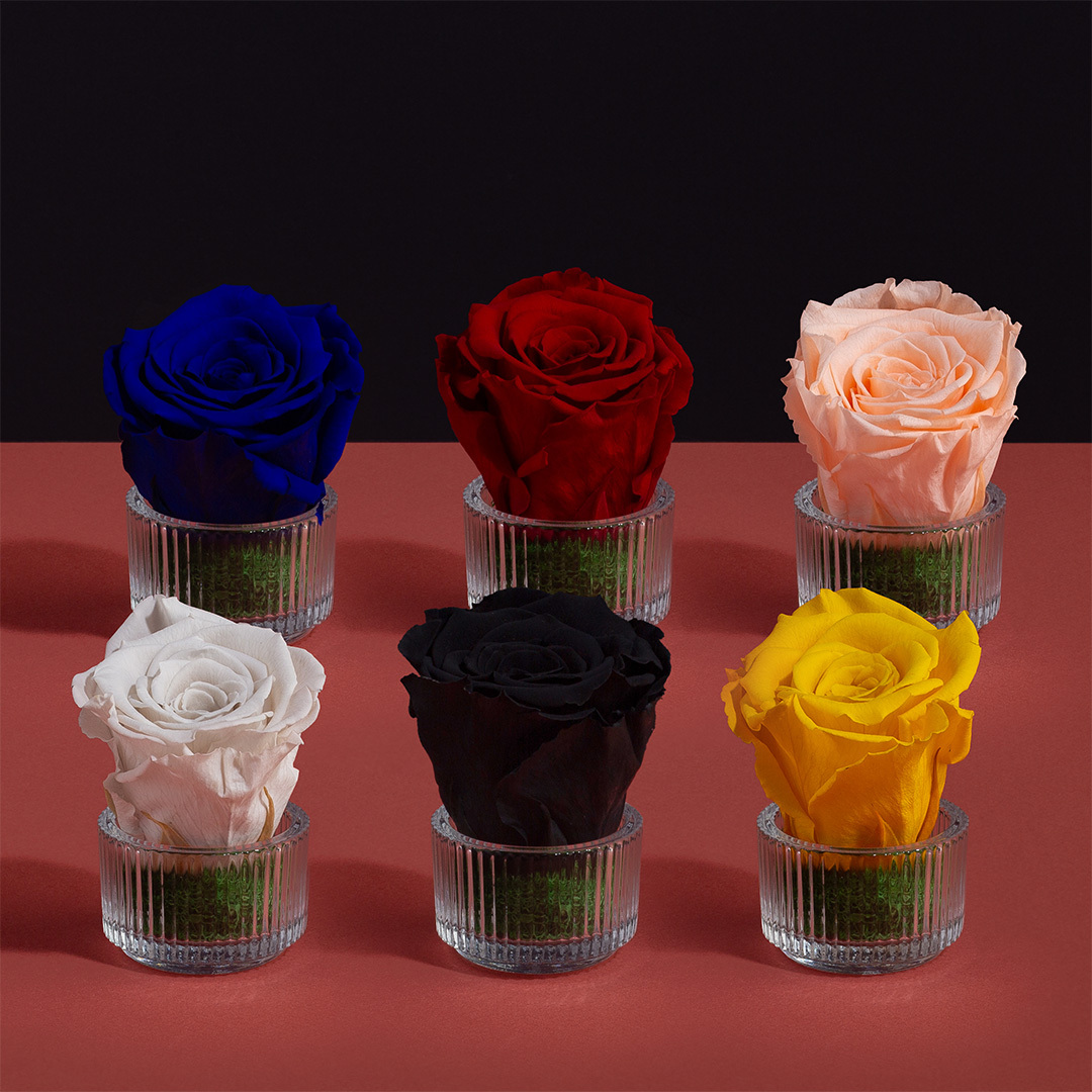 luxury_av's tweet photo. اهدي من تحب هدية ساعة نسائية مع ورد وشمعة معطرة CL22
ادفع بالتقسيط مع تابي او تمارا.
كمل تفاصيل هديتك بخيارات تغليف حصرية ومميزة من بريفي روز
 @priverose@luxury_av
https://t.co/heHtwqvdDn
#هدايا_نسائية
#هدايا_فخمه
#هدايا_للنساء
#لكجري_افنيو https://t.co/mpildxQXyN