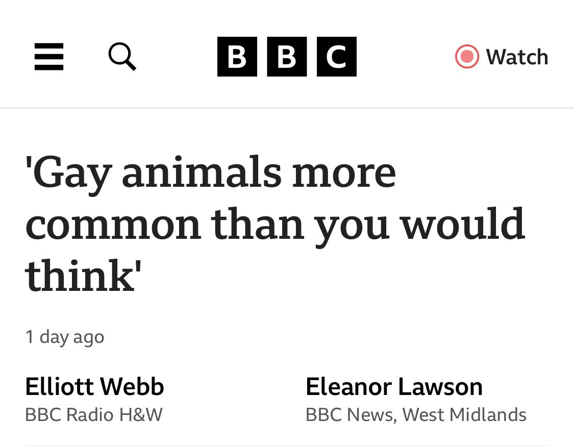 Of course they’re more common, I see them on my phone everyday. And I am one