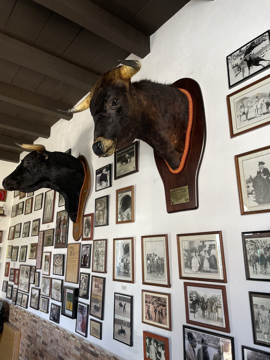 Francisco Senín tweet media