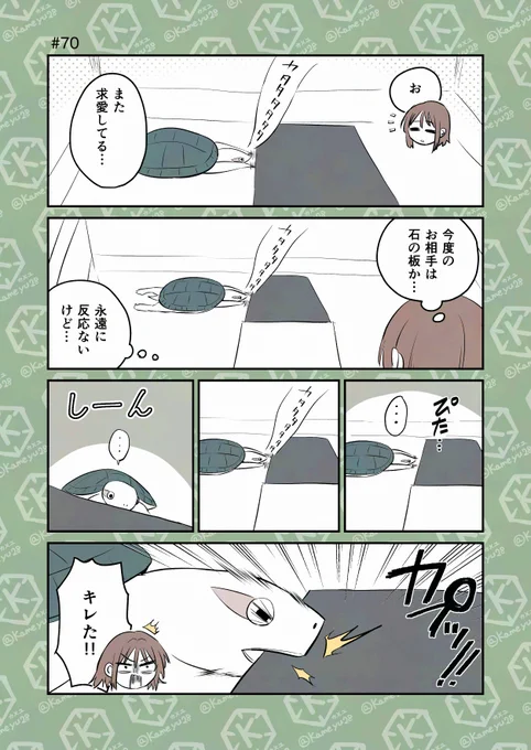 亀飼い漫画「愛」 
