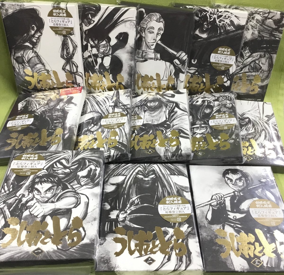 うしおととら DVD collection BOX