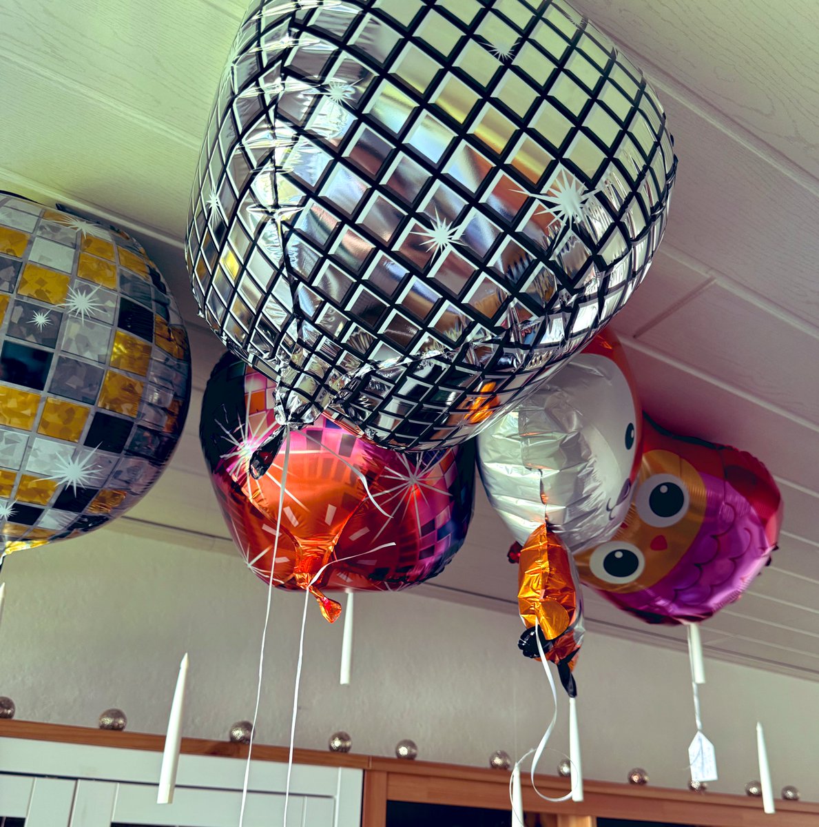 NOTFALL! Falls ihr im Raum Kölle einen Eichhörnchen und Waschbär Ballon fliegen seht, bitte Bescheid geben (Gerne mit Beweisfoto und wichtigen Eckdaten) Die haben uns einfach sneaky sitzen lassen und sind über den Balkon geflüchtet! 

KOMMT ZURÜCK 😡
