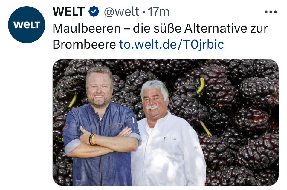 Bitte mehr solche Artikel <a href="/welt/">WELT</a> Ich würde euch abonnieren 😬