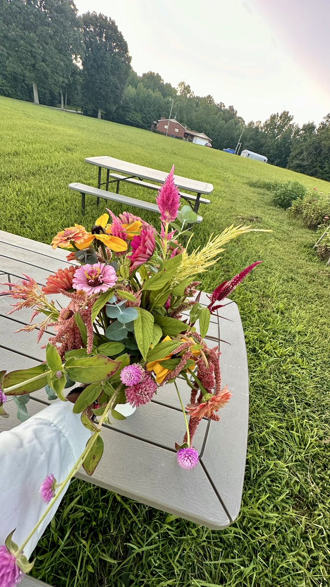 acalmmom's tweet photo. Flower picking is such a great extension of my favorite self care activity… my latest pickings and arrangements 🥰 https://t.co/m1rktnK3gK
