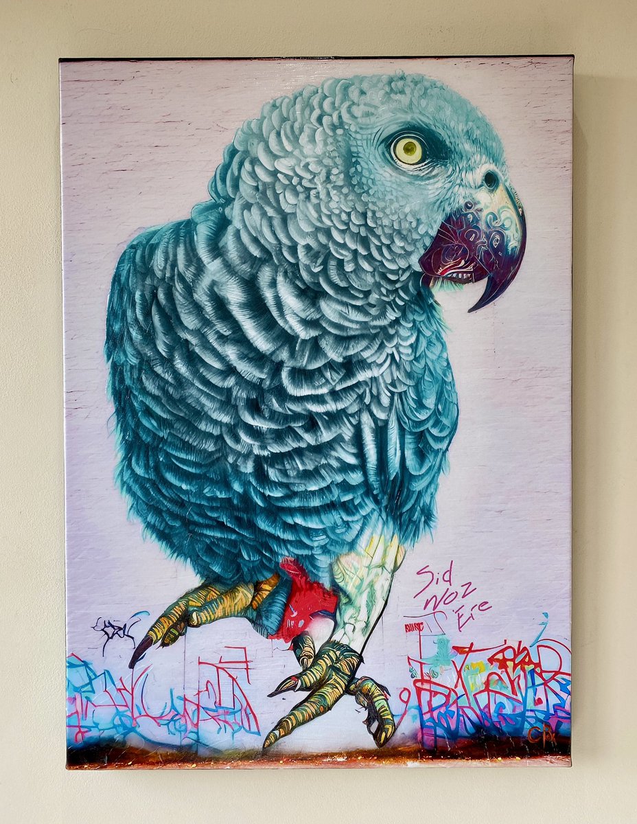 robert cox - Artist tweet media