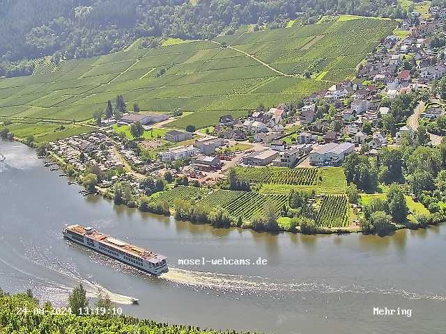 Schiffsbegruess's tweet image. Die #Viking #Alsvin in #Mehring #Mosel #Schiff