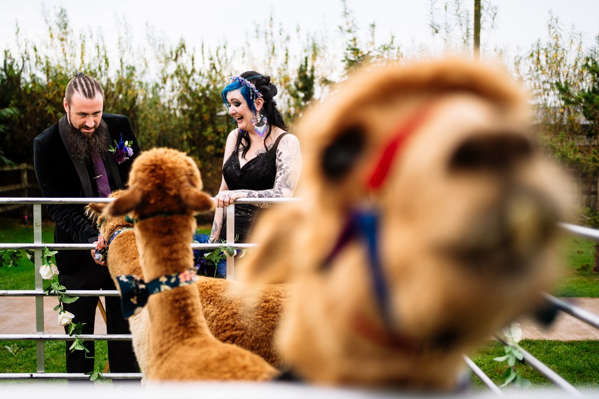 Johnny Dent tweet media