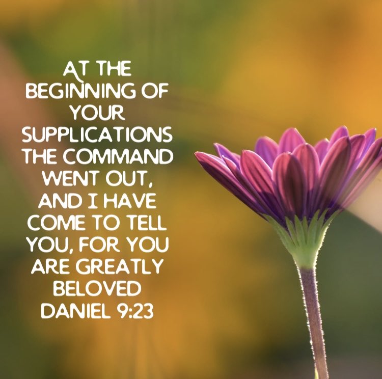 robindcole's tweet image. "Our answer is wrapped in God's love and wisdom. And in His time, it will arrive as a special delivery.” @joytothesoul  @First5App