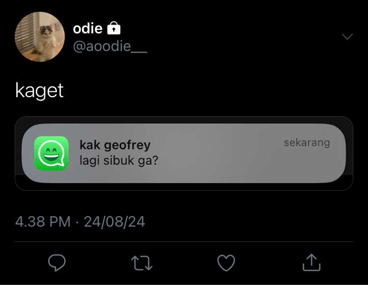 quietadore's tweet photo. 🪄 257. https://t.co/JectfJCJbO