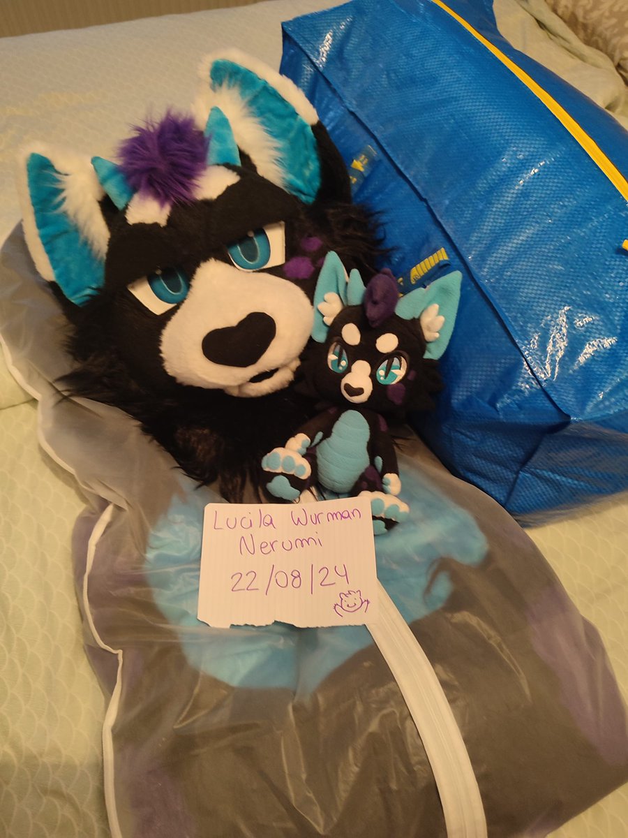 I forgot I also have the cutest plushie by @aestiva_plushie that will of course will be added with the suit &lt;3

Please spread the word, this cutie needs a new home 💜💙

(Photo was for a facebook group, so you might see my post haha)