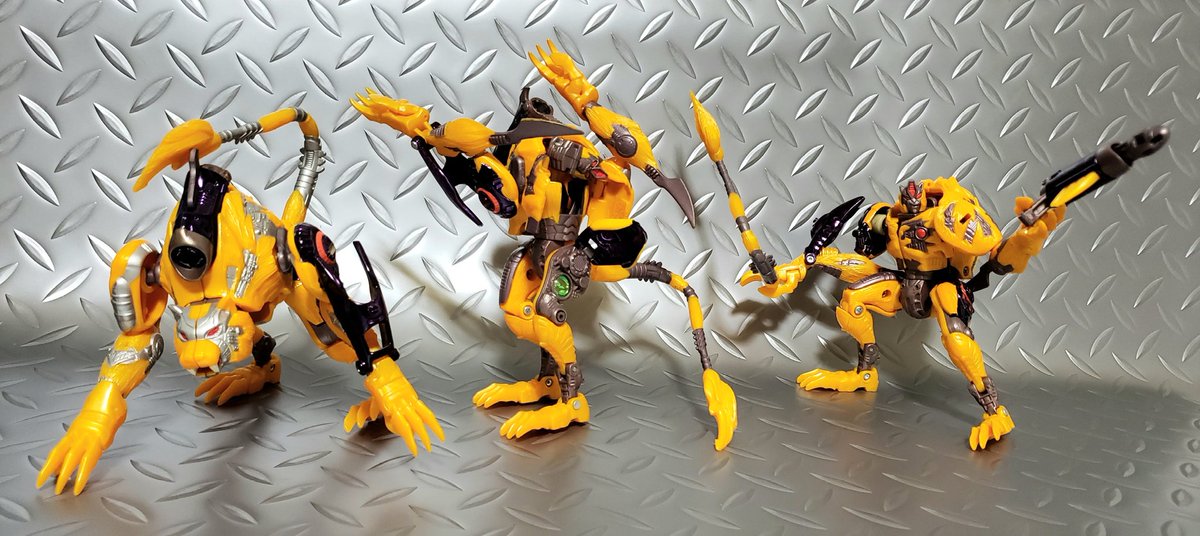 マキシマ tweet media