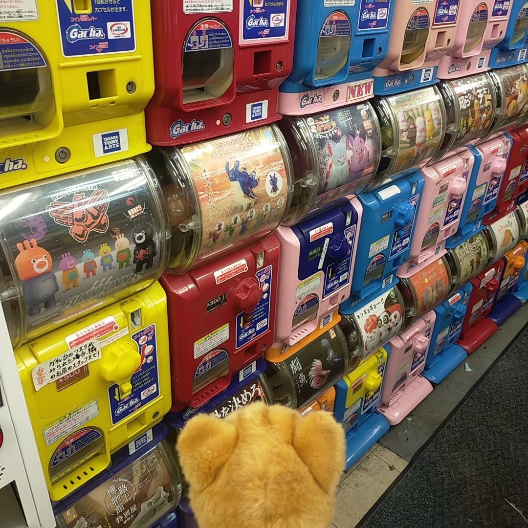 mini88888mini's tweet photo. 秋葉原も蒸し暑っかた🐱💦 https://t.co/8eBnpRKYG2