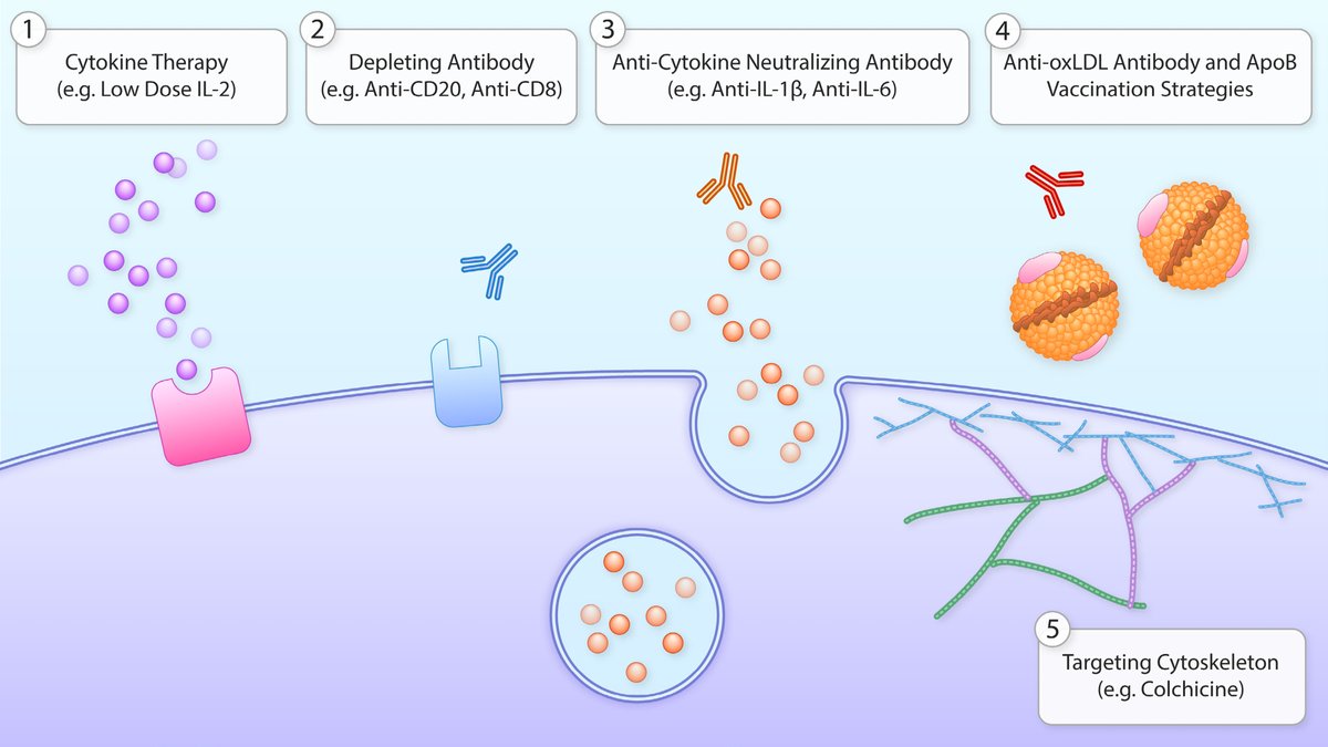 drpablocorral's tweet photo. ☝ Inflammation and Atherosclerosis: Prospects for Clinical Trials

👉 Targeting inflammation and immunity offers the possibility of an orthogonal approach that may address the residual risk encountered in individuals with well-controlled lipid profiles. 
👉Ultimately, addressing lifestyle, lipids, and residual inflammation together will help to improve cardiovascular outcomes worldwide.

🔓 Open Access
https://t.co/7EW2mzha22

@society_eas