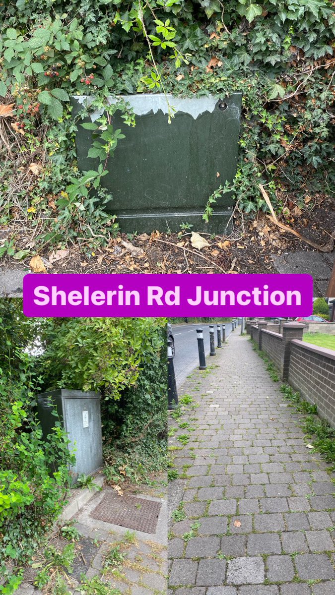 Clonsilla Tidy Towns tweet media