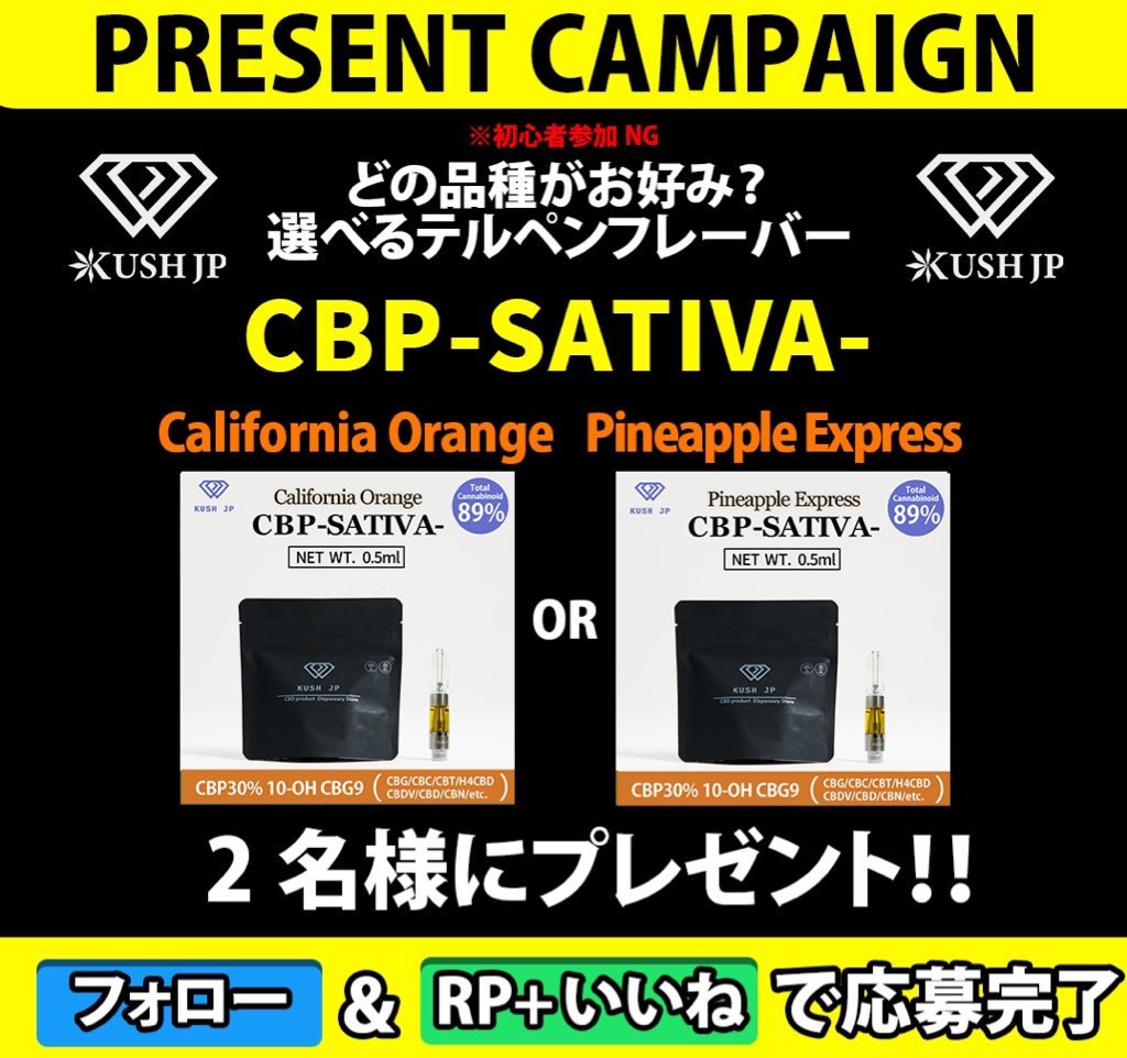 専用 THP 1ml リキッド CBP CNP CBD CBG cbn cbd(規制対応品 専用 THP 1ml リキッド CBP CNP CBD CBG cbn cbd(規制対応品
