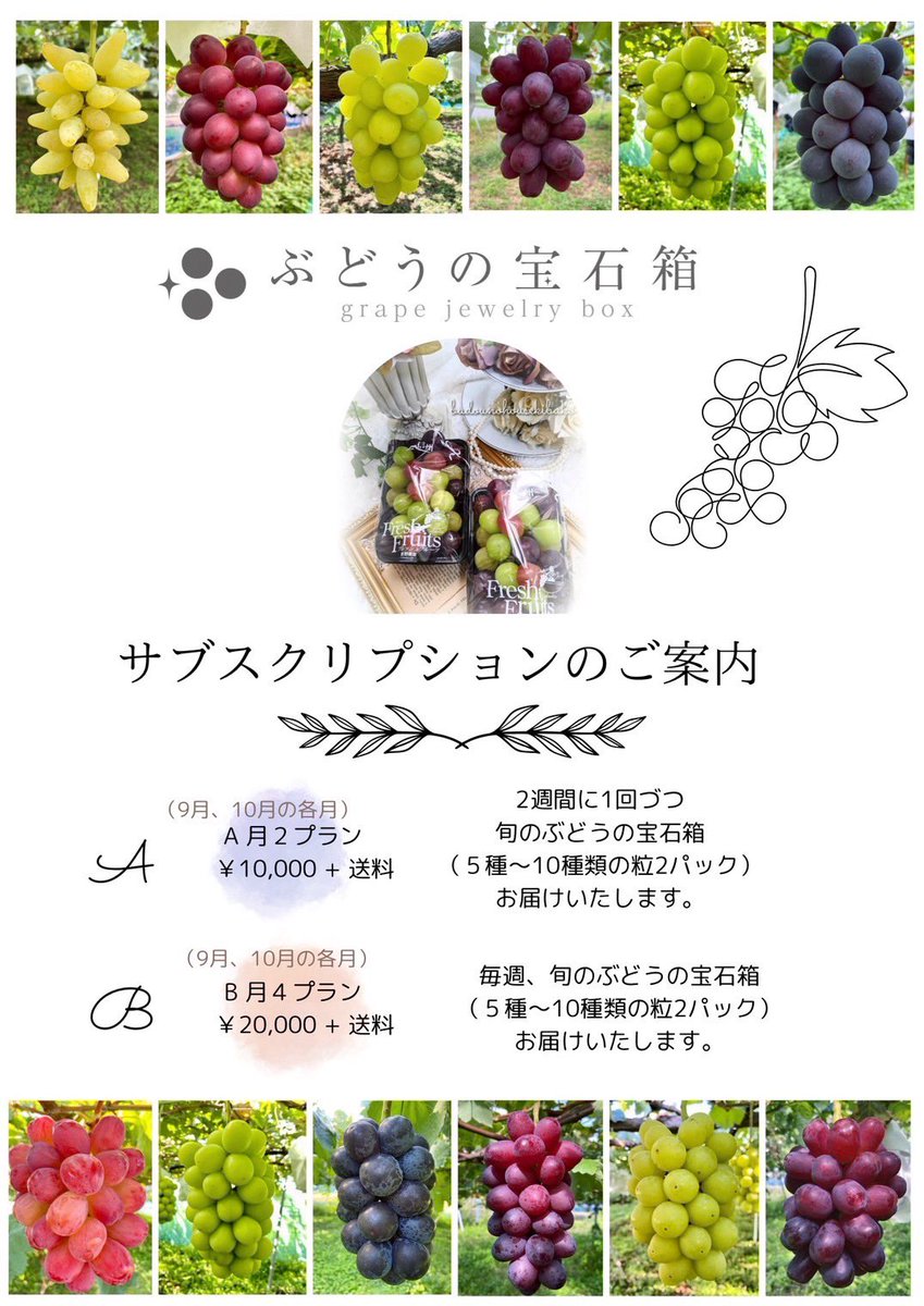 2100housekibako's tweet photo. いよいよ９月から❗️
ぶどうの宝石箱サブスクリプションサービス開始‼️
第288回プレゼントキャンペーンを開催します⭐️

🍇応募方法🍇
フォロー＆
このポストをリポスト
〆切は２５日
日曜日２４時まで

初物 
【特選ハウス コトピー　粒１ｋｇ】

７０００円相当を
抽選で２名様に
完全無料でプレゼント🎁✨

まだ今ならギリギリ間に合う⁉️
９月から開始のぶどうの宝石箱サブスクリプションサービスがお得にご予約できるのは【ぶどうの宝石箱公式LINE】➡️ https://t.co/0f4CoowVsD
